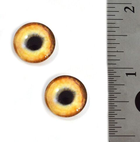 Light Brown Wolf Glass Eyes Realistic Animal Pair for Art Dolls, Sculptures, Props, Masks, Fursuits, Jewelry Making, Taxidermy, and More (16mm) in Saudi Arabia
