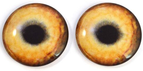 Light Brown Wolf Glass Eyes Realistic Animal Pair for Art Dolls, Sculptures, Props, Masks, Fursuits, Jewelry Making, Taxidermy, and More (16mm) in Saudi Arabia
