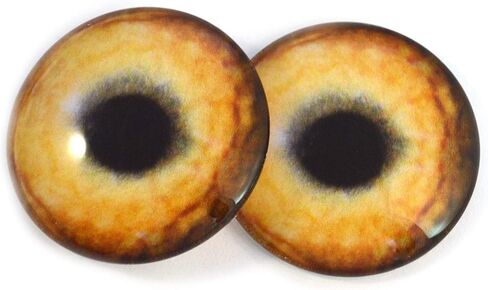 Light Brown Wolf Glass Eyes Realistic Animal Pair for Art Dolls, Sculptures, Props, Masks, Fursuits, Jewelry Making, Taxidermy, and More (16mm) in Saudi Arabia