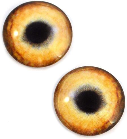 Light Brown Wolf Glass Eyes Realistic Animal Pair for Art Dolls, Sculptures, Props, Masks, Fursuits, Jewelry Making, Taxidermy, and More (16mm) in Saudi Arabia