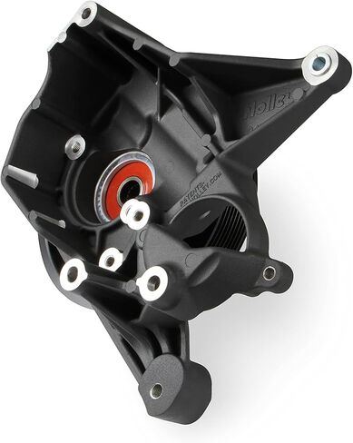 مجموعة دعامات Holley 97-252BK، P/S LT4-W، لمسة نهائية سوداء طبيعية in Saudi Arabia