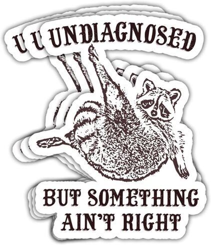 3Pcs Undiagnosed But Something Ain't Right Sticker Funny Raccoon Trash Panda Gift Undiagnosed But Something is Definitely Wrong Stickers Sarcastic Decal for Laptop Bottle Phone Car Hard Hat 3" (U1) in Saudi Arabia