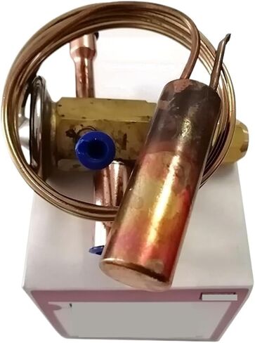 Expansion valve Thermal Expansion Valve BAE 2 ZW195 in Saudi Arabia