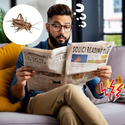 Cricket Noise Maker Prank (6PCS) - Stealth Hidden Beeping Gag Kit with Long-Lasting Battery, Multi-Sound Prank Devices for Office Pranks, Home, Car & April Fools Day Gifts for Adults in Saudi Arabia