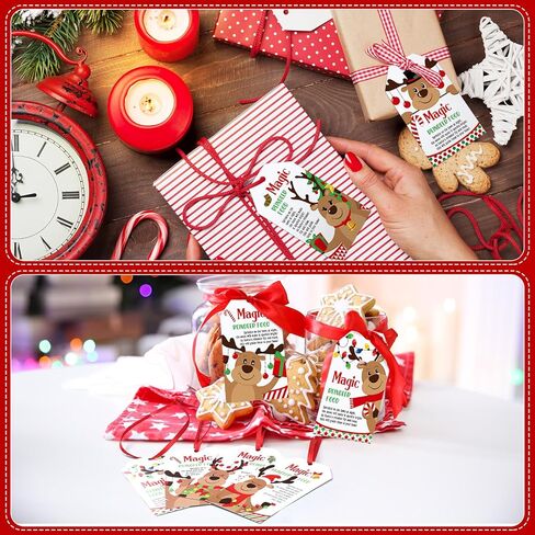 120 Pcs Christmas Reindeer Food Gift Tags Bulk with Lanyard Holiday Paper Label for Christmas Eve Party Gifts Santa Sleigh Holiday Snack Bag Cookie Fun Decoration in Saudi Arabia