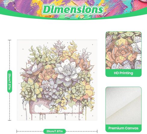 KEYIFA Paint by Numbers Kit for Adults Framed, Small Painting Kits for Beginners, Paint on Clear Colored Canvas, Acrylic Pigment Drawing Paintwork, DIY Home Wall Decor, 8x8 in, Colorful Succulent in Saudi Arabia