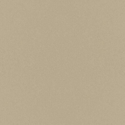 Automotive Paint for Toyota 4P7, Beige Metallic, 11oz Aerosol in Saudi Arabia