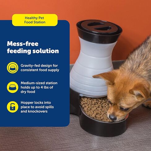 PetSafe Healthy Pet Food Station - Medium, 4 lb Kibble Capacity - Automatic Cat & Dog Feeder - Removable Stainless Steel Bowl Resists Corrosion & Stands Up to Frequent Use - Easy to Fill & Clean in Saudi Arabia