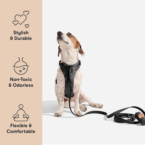 Wild One Harness 2.0 - Small - Moonstone in Kuwait