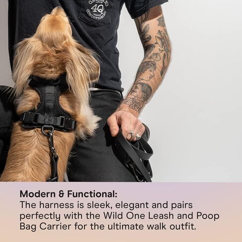 Wild One Harness 2.0 - Small - Moonstone in Kuwait