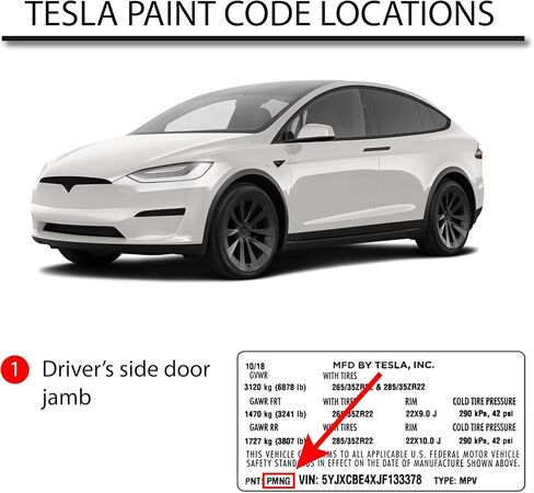 Automotive Paint for TESLA PMSS, San Simeon Silver Pearl, 11oz Aerosol in Saudi Arabia