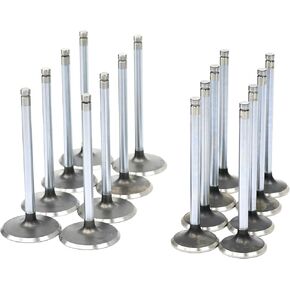 Michigan Motorsports Stock Replacement 2.00"/1.55" LS Valve Set for LS1 LS2 LS6 LQ4 LQ9 LC9 LMG Cathedral Port 243 799 317 241 853 806 Heads in Saudi Arabia