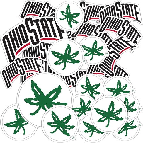 Desert Cactus Ohio State University Sticker OSU Buckeyes Stickers Vinyl Decals Laptop Water Bottle Car Scrapbook T1 (Type 1-1) in Kuwait