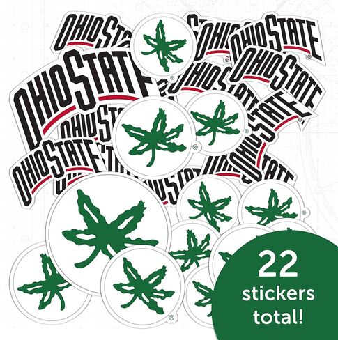 Desert Cactus Ohio State University Sticker OSU Buckeyes Stickers Vinyl Decals Laptop Water Bottle Car Scrapbook T1 (Type 1-1) in Kuwait