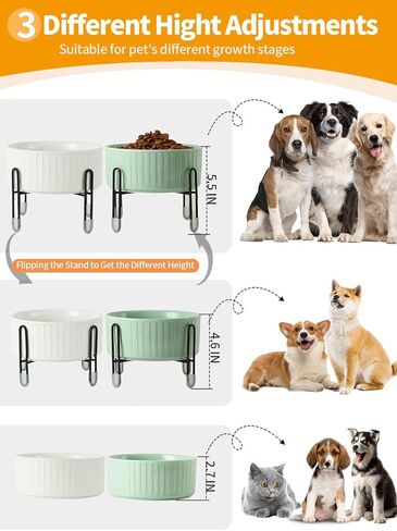 TAMAYKIM وعاء سيراميك للكلاب والقطط بوزن 32 أونصة مع حامل معدني مرتفع منفصل، 3 ارتفاع قابل للتعديل و4 أكواب من البورسلين لتغذية الحيوانات الأليفة ومجموعة أوعية طعام ومياه للقطط الكبيرة والكلاب المتوسطة الصغيرة، أبيض ووردي in Kuwait