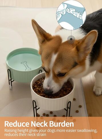 TAMAYKIM وعاء سيراميك للكلاب والقطط بوزن 32 أونصة مع حامل معدني مرتفع منفصل، 3 ارتفاع قابل للتعديل و4 أكواب من البورسلين لتغذية الحيوانات الأليفة ومجموعة أوعية طعام ومياه للقطط الكبيرة والكلاب المتوسطة الصغيرة، أبيض ووردي in Kuwait