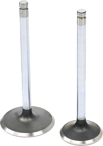 Michigan Motorsports Stock Replacement 2.00"/1.55" LS Valve Set for LS1 LS2 LS6 LQ4 LQ9 LC9 LMG Cathedral Port 243 799 317 241 853 806 Heads in Saudi Arabia