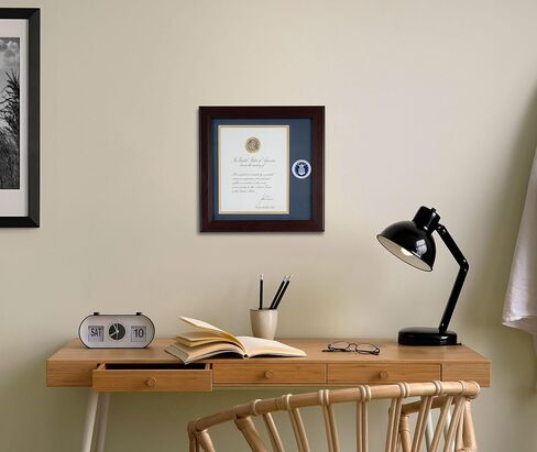 Allied Frame US Air Force Wings Presidential Memorial Certificate Frame with Medallion - 8 x 10 Inch in Saudi Arabia