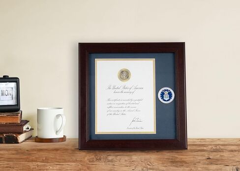 Allied Frame US Air Force Wings Presidential Memorial Certificate Frame with Medallion - 8 x 10 Inch in Saudi Arabia