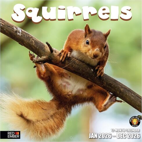RED EMBER Raccoons 2026 Wall Calendar 12 Month | 12" x 24" Open | Thick & Sturdy Paper | Holiday Gift | Funny Animal Calendar 2026 in Saudi Arabia