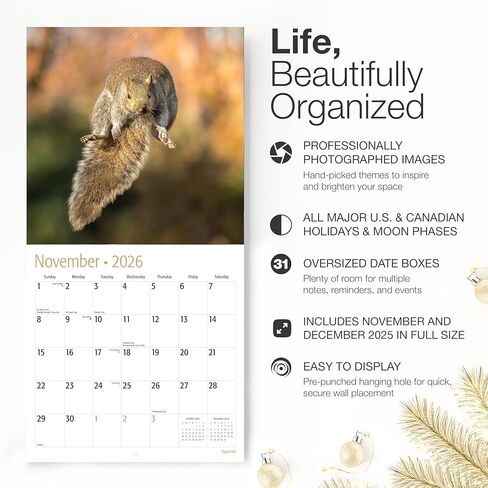 RED EMBER Raccoons 2026 Wall Calendar 12 Month | 12" x 24" Open | Thick & Sturdy Paper | Holiday Gift | Funny Animal Calendar 2026 in Saudi Arabia