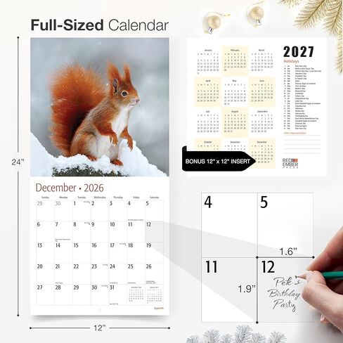 RED EMBER Raccoons 2026 Wall Calendar 12 Month | 12" x 24" Open | Thick & Sturdy Paper | Holiday Gift | Funny Animal Calendar 2026 in Saudi Arabia