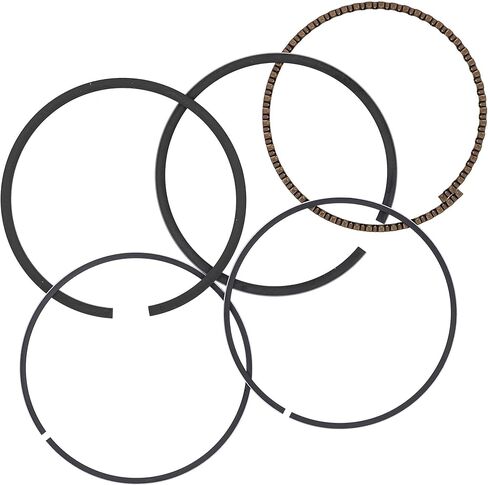 John Deere AM101097 Piston Ring Kit Wheel Walk w Optional 50 260 240 44 36 245 130 38 M70051 AM109362 in Saudi Arabia
