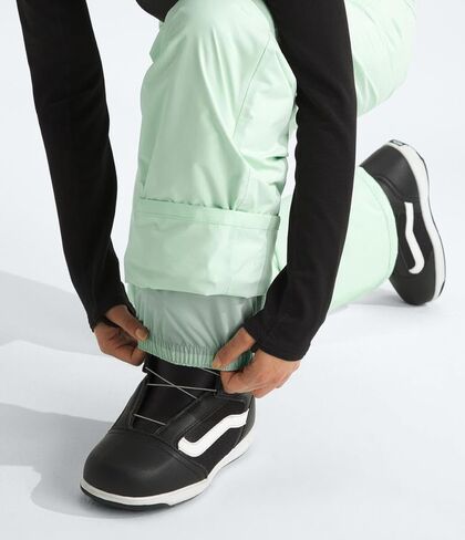بنطال حريمي معزول من THE NORTH FACE (مقاس قياسي وحجم كبير) - عادي، أرجواني ثلجي، متوسط ​​عادي in Saudi Arabia