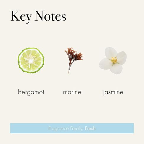 LAFCO New York Hand Cream, Champagne, 12 Fl Oz in Kuwait