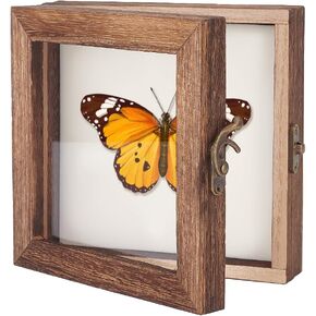 AHANDMAKER Insect Display Case Shadow Box for Insect Display with Clear Top Insect Specimen Storage Box Wood Insect Storage Case for Collecting Specimen, 6 x 6 Inch