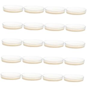 FELTECHELECTR Prepoured Agar Petri Dishes 20 Pcs Nutrient Agar Plate Petri Dishes with Agar Experiment for Laboratory for Experiment Prepoured Agar Petri Plates Accessories Ordinary 7c