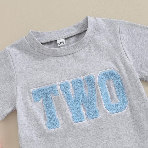 Honganda Toddler Kids Baby Girl Boy Birthday Shirt Number Letters Embroidery Tee Tops Summer T-Shirt Birthday Gift 1-6T in Saudi Arabia