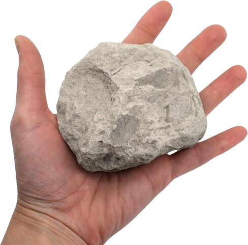 EISCO Raw Limestone Chalk, Sedimentary Rock Specimen - Hand Sample - Approx. 3" - Geologist Selected & Hand Processed - Great for Science Classrooms in Saudi Arabia