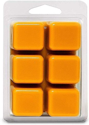 Cider Lane (Type) - Scented All Natural Soy Wax Melts - 6 Cube Clamshell 3.2oz Highly Scented! in Saudi Arabia