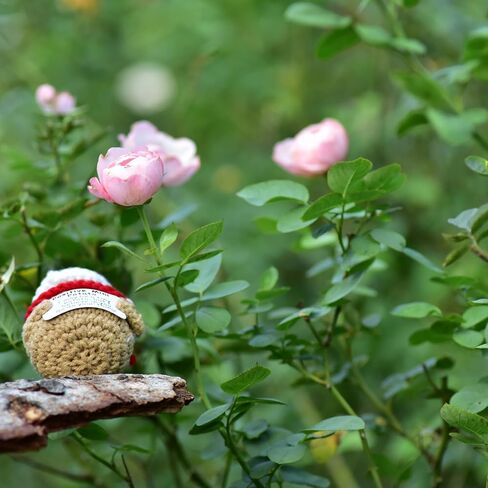 Christmas Small Gifts 1 Pcs Handmade Emotional Support Crochet Positive Mini Potato with Affirmation Cards for Positive Mood in Saudi Arabia