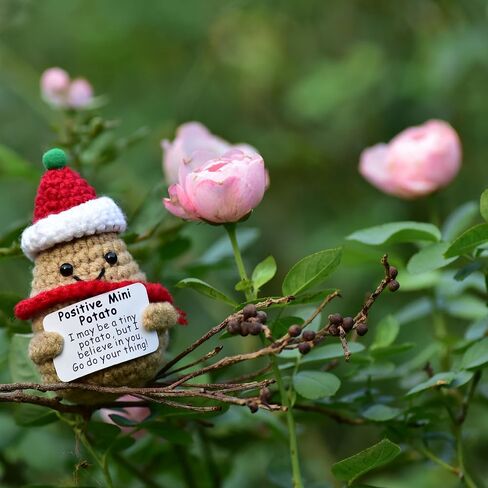 Christmas Small Gifts 1 Pcs Handmade Emotional Support Crochet Positive Mini Potato with Affirmation Cards for Positive Mood in Saudi Arabia