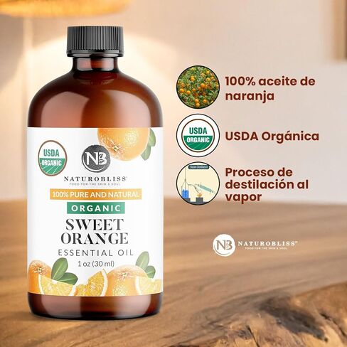 Vanilla Perfume, Vanilla Fragrance Oil RollOn 10 ml 1Unit, Vanilla Bean, 0.33 Fl Oz in Kuwait