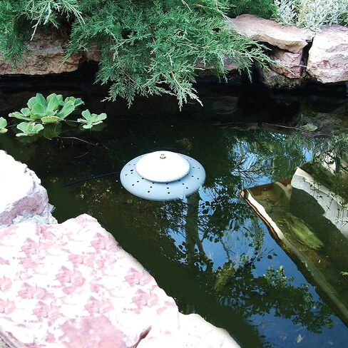 K&H Pet Products Thermo-Pond مثالي للمناخ الغاطس، رمادي، 8 بوصة × 8 بوصة، 300 وات in Kuwait