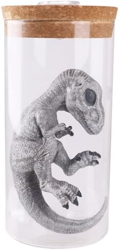 Dinosaur Specimen Jar Night Light, Realistic Raptor Figurine in Glass Bottle, LED Decor for Home/Desk (Velociraptor) in Saudi Arabia