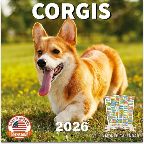 تقويم Golden Retriever 2026 - حزمة تقويم حائط Golden Retriever الفاخرة لعام 2026 مع أكثر من 100 ملصق تذكير بالتقويم (هدايا تحت عنوان الكلاب، مستلزمات مكتبية) | صنع في الولايات المتحدة الأمريكية in Saudi Arabia