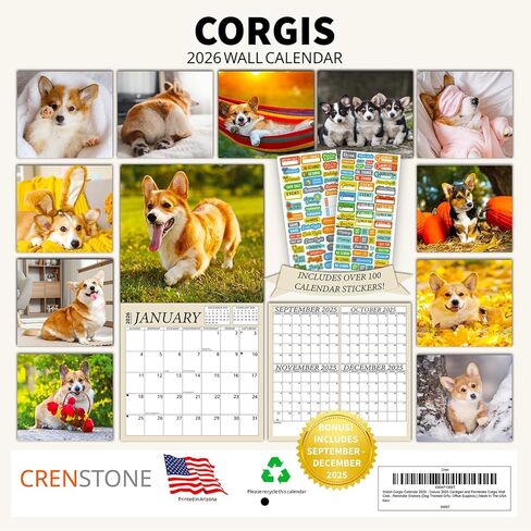 تقويم Golden Retriever 2026 - حزمة تقويم حائط Golden Retriever الفاخرة لعام 2026 مع أكثر من 100 ملصق تذكير بالتقويم (هدايا تحت عنوان الكلاب، مستلزمات مكتبية) | صنع في الولايات المتحدة الأمريكية in Saudi Arabia