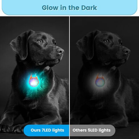 POEEY أضواء الكلب 2 حزمة LED قابلة للشحن طوق الكلب أضواء كليب على مع RGB اللون أضواء سلامة الحيوانات الأليفة تضيء مضاءة الكلب تسخير ضوء للتخييم المشي ليلا in Kuwait
