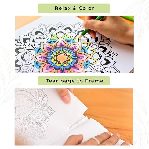 Art of Life Adult Coloring Book, 38 Pages with 12 Colored Pencils Set. For Relaxation and Stress Relief. Adult Coloring Books for Adults Relaxation. Stress Relief Gifts. in Saudi Arabia