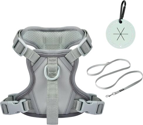 Petmolico Dog Harness for Small Dogs, Cute Harness Vest with Two Leash Clips and Soft Handle, Reflective Easy Walk Puppy Vest - Light Blue, X-Small in Kuwait