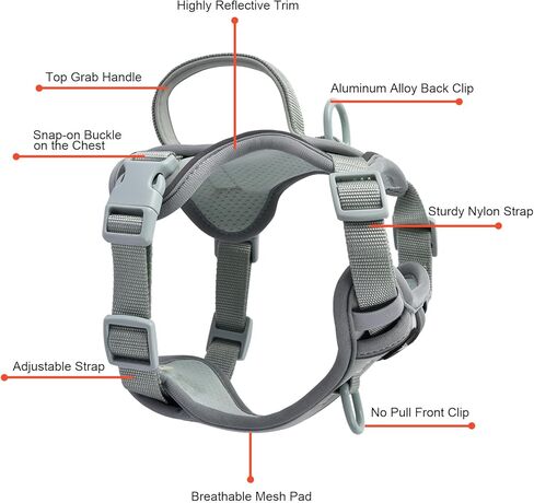 Petmolico Dog Harness for Small Dogs, Cute Harness Vest with Two Leash Clips and Soft Handle, Reflective Easy Walk Puppy Vest - Light Blue, X-Small in Kuwait