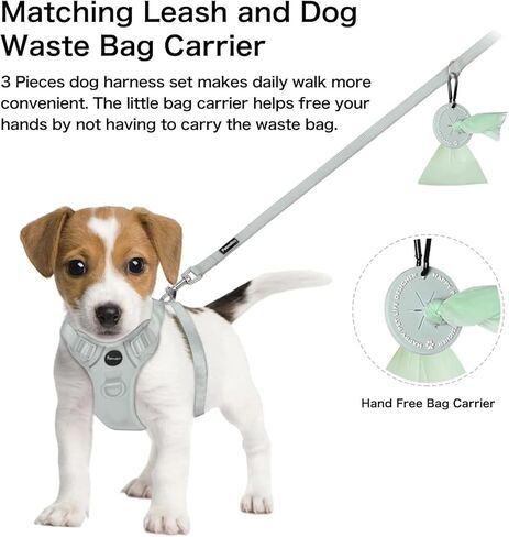 Petmolico Dog Harness for Small Dogs, Cute Harness Vest with Two Leash Clips and Soft Handle, Reflective Easy Walk Puppy Vest - Light Blue, X-Small in Kuwait