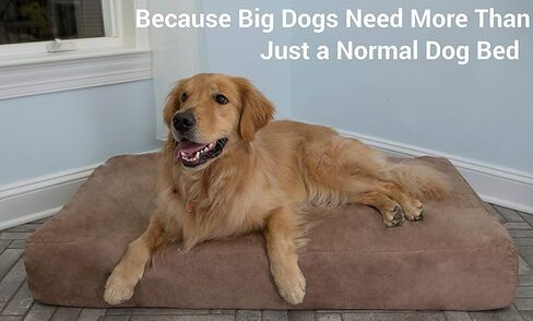 سرير كلب أنيق لتقويم العظام من Big Barker - سرير كلب مقاس 7 بوصات للكلاب الكبيرة مع غطاء من جلد الغزال الدقيق قابل للغسل - سرير كلب مرتفع أنيق مصنوع في الولايات المتحدة الأمريكية مع ضمان لمدة 10 سنوات (أنيق، كبير، رمادي) in Saudi Arabia