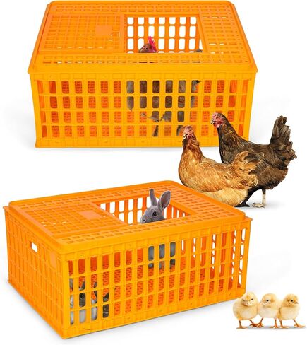 lukar Poultry Carrier Crate Plastic Chicken Transport Crate Cage Heavy Duty Chicken Carrier Crates Chicken Crates Transport Box for 10-13 Adult Chicken Duck Goose Birds, 29.5 x 21.7 x 13 Inch in Kuwait