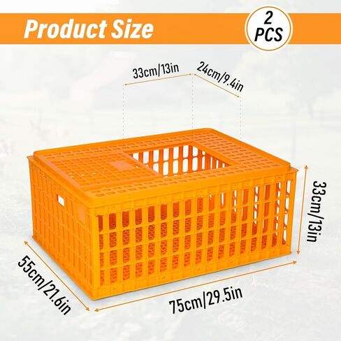 lukar Poultry Carrier Crate Plastic Chicken Transport Crate Cage Heavy Duty Chicken Carrier Crates Chicken Crates Transport Box for 10-13 Adult Chicken Duck Goose Birds, 29.5 x 21.7 x 13 Inch in Kuwait