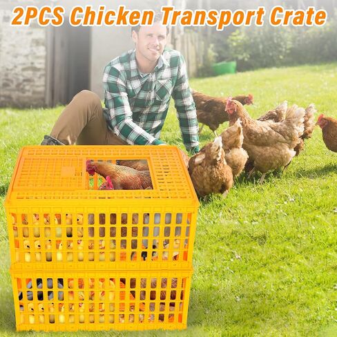 lukar Poultry Carrier Crate Plastic Chicken Transport Crate Cage Heavy Duty Chicken Carrier Crates Chicken Crates Transport Box for 10-13 Adult Chicken Duck Goose Birds, 29.5 x 21.7 x 13 Inch in Kuwait